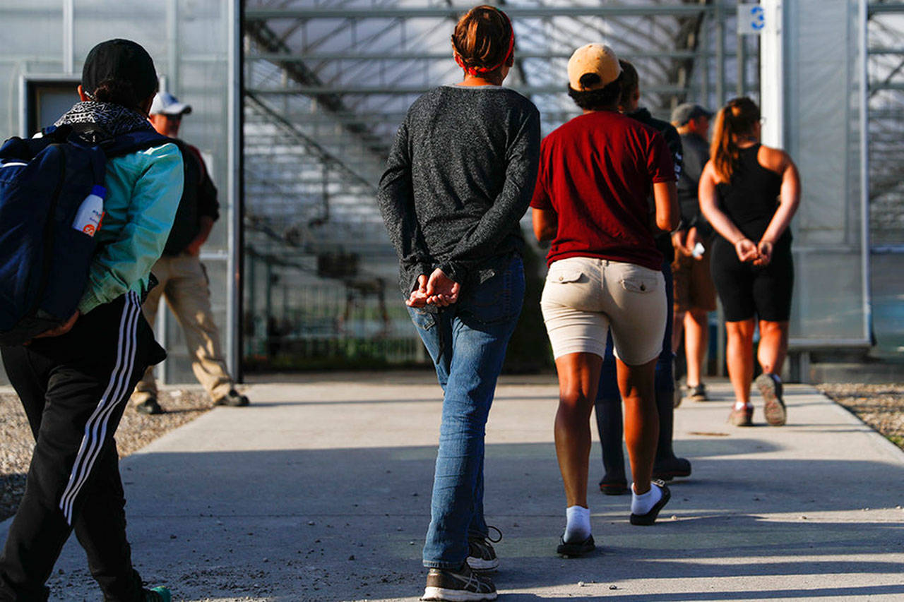 Jueza federal concedió petición para acelerar la demanda contra la separación de familias