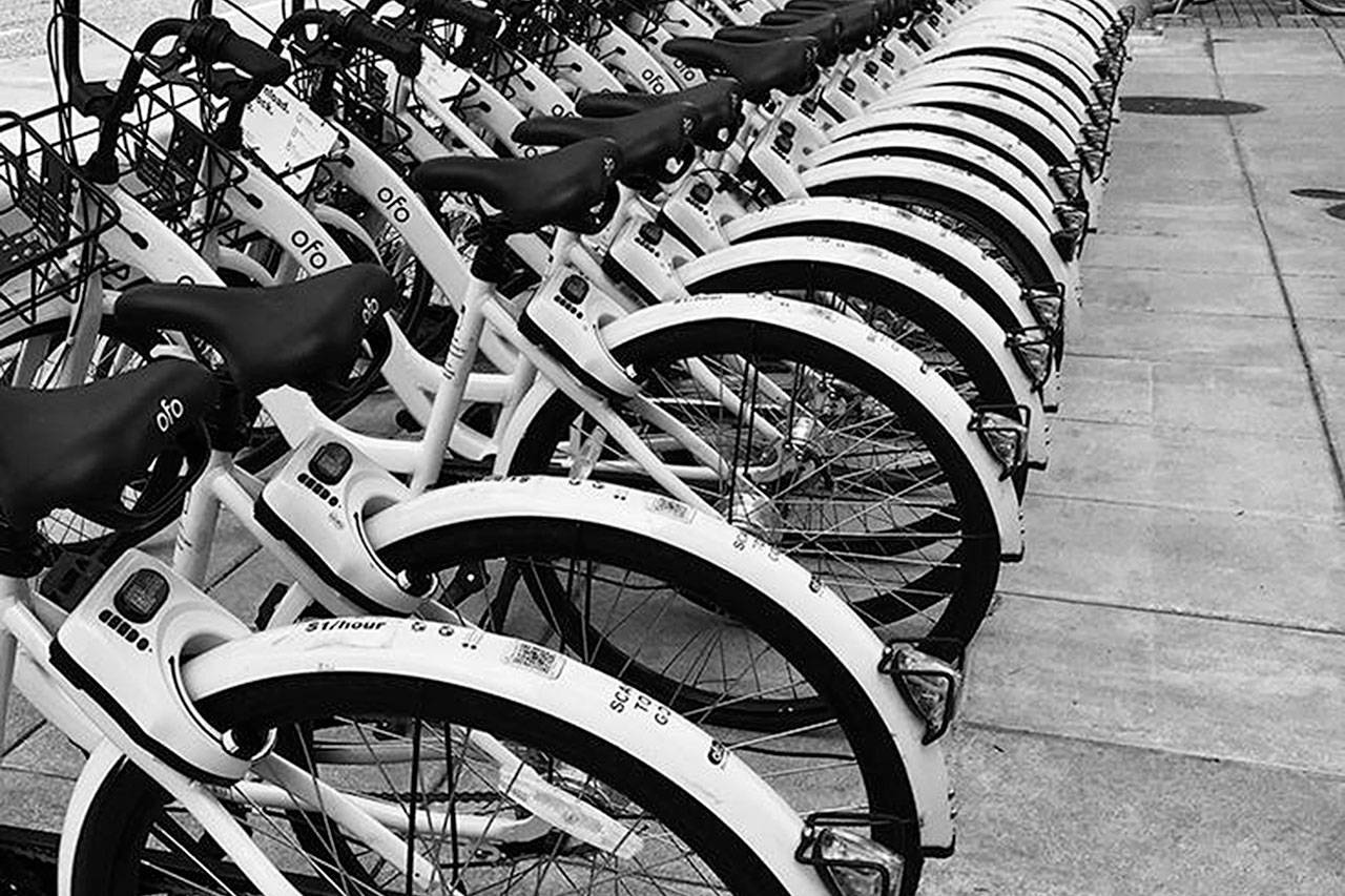 Límite de velocidad para bicicletas eléctricas en los senderos populares de Seattle