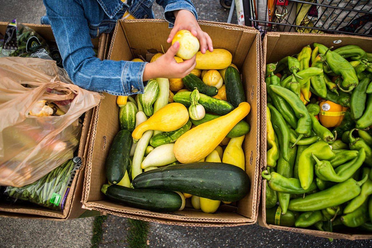 ¿Cómo me afectaría la propuesta de ley si yo recibí hace años ayuda del gobierno?