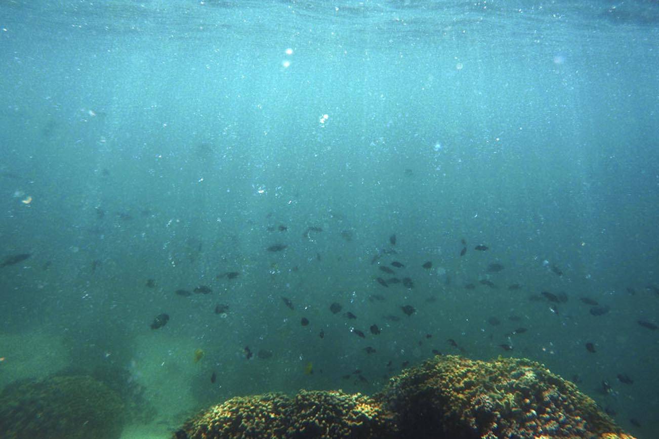 Aterrador informe de la ONU sobre el calentamiento global lleva una advertencia de vida o muerte