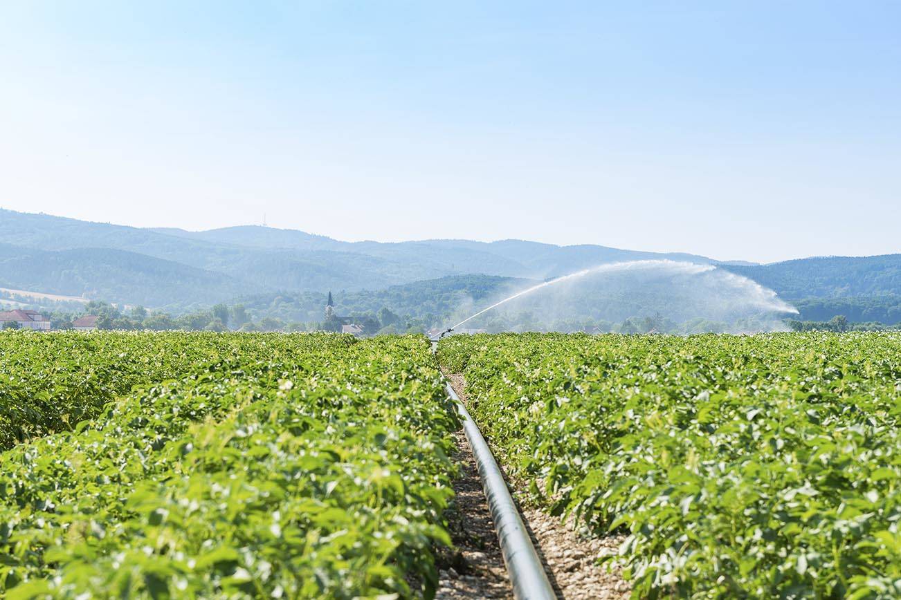 Trabajadores Agrícolas llegan a un acuerdo en caso contra Larson Orchards y Contratistas Laborales
