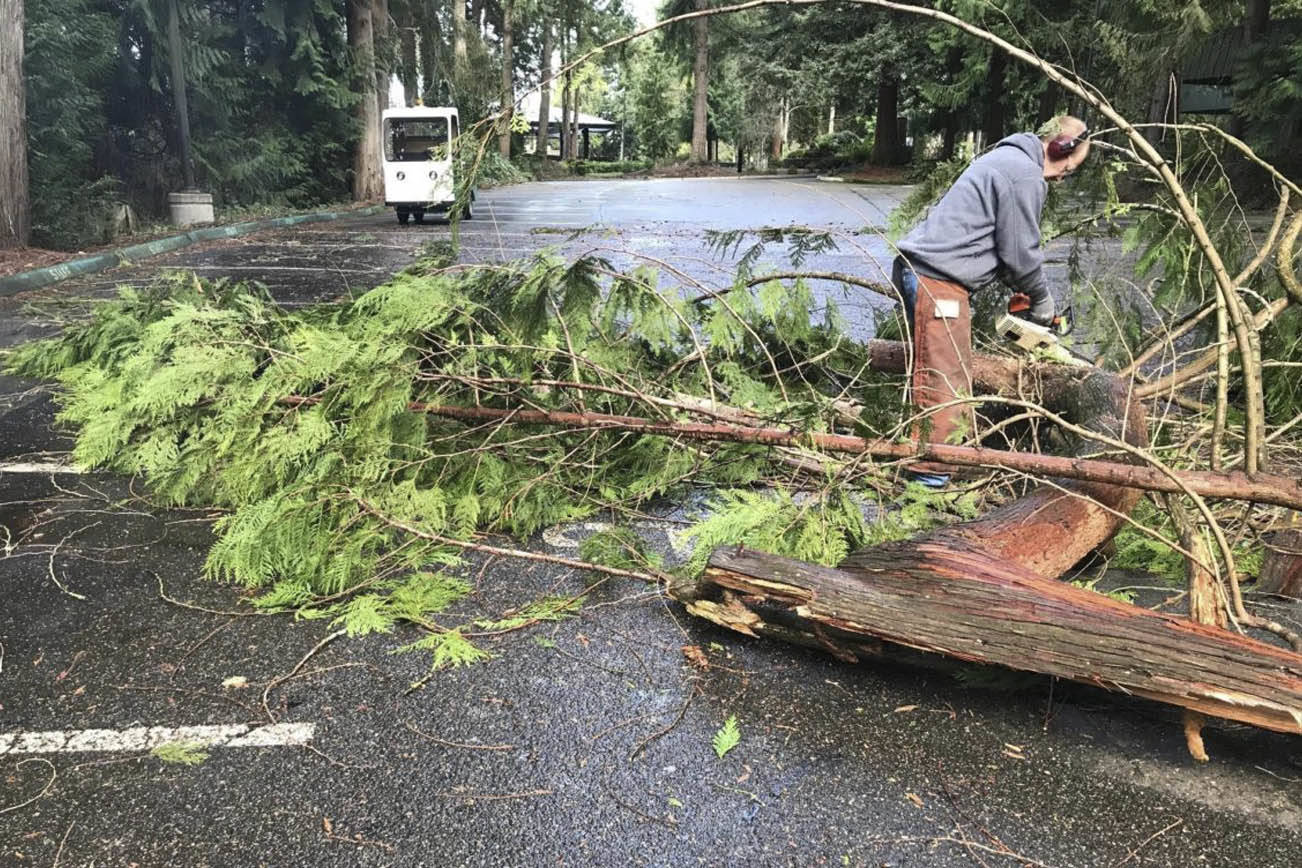 2,000 casas en Auburn perdieron la energía eléctrica