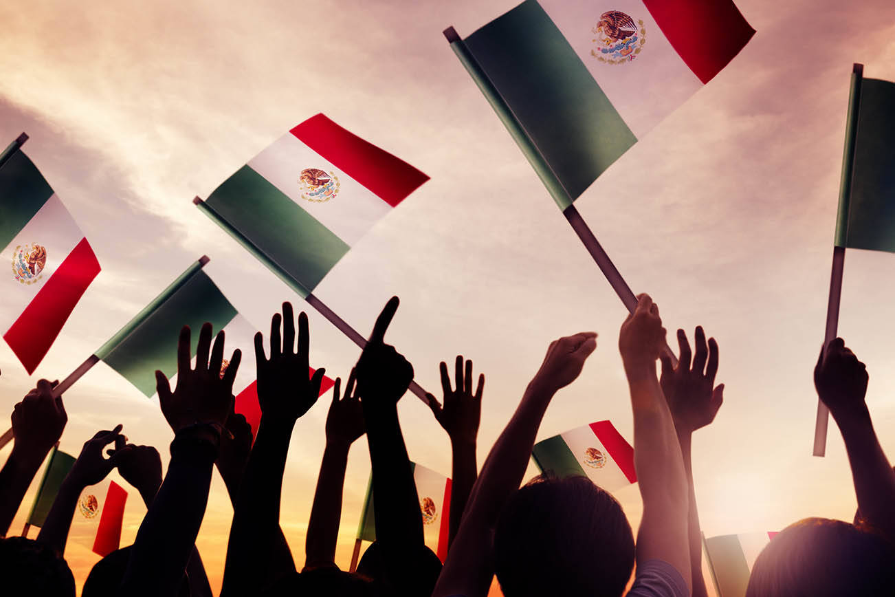 NUEVO PARTIDO POLITICO EN PROCESO “MEXICANOS FRENTE A LA HISTORIA”.