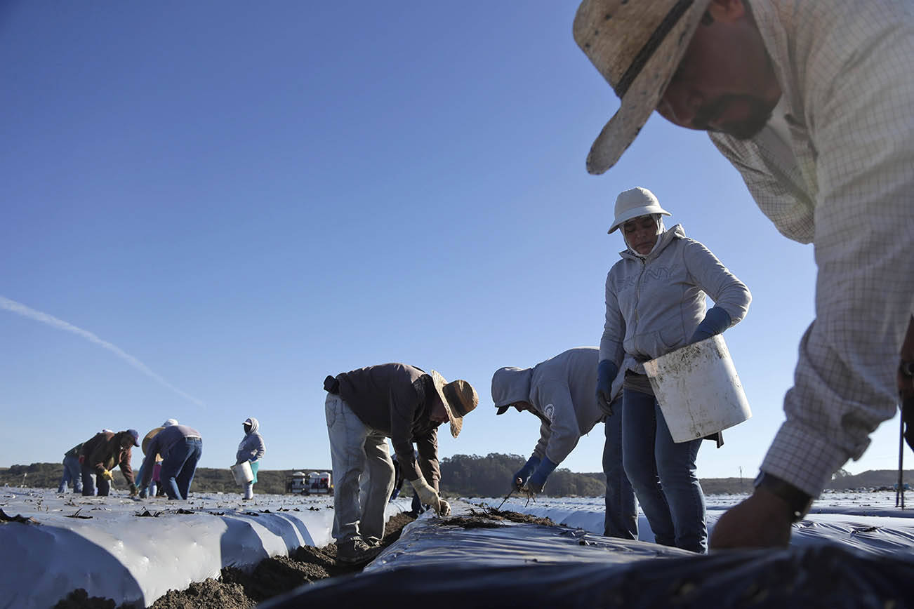 (AP Foto/Marcio Jose Sanchez, File)