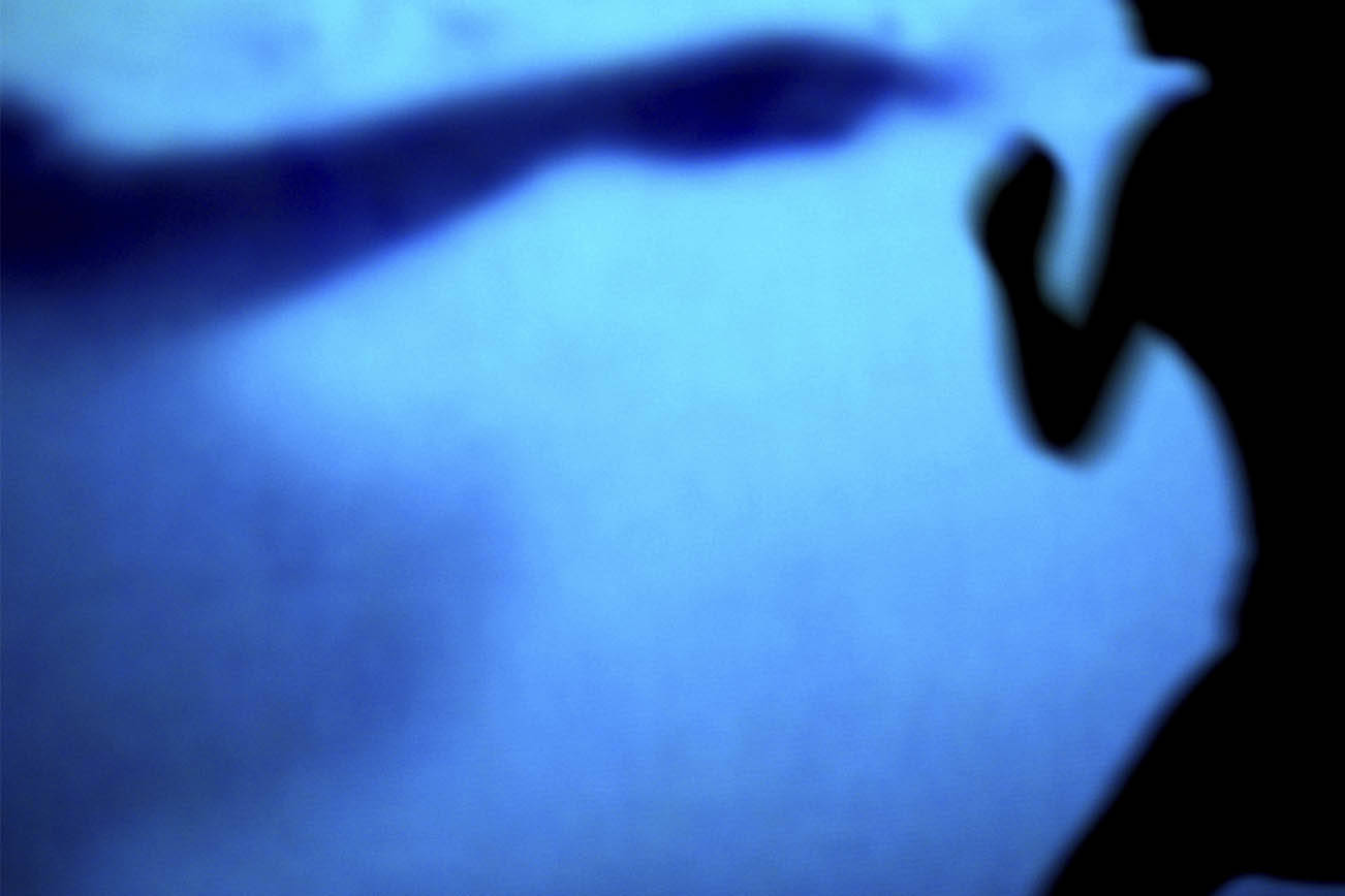 ¿Acusado por violencia doméstica?