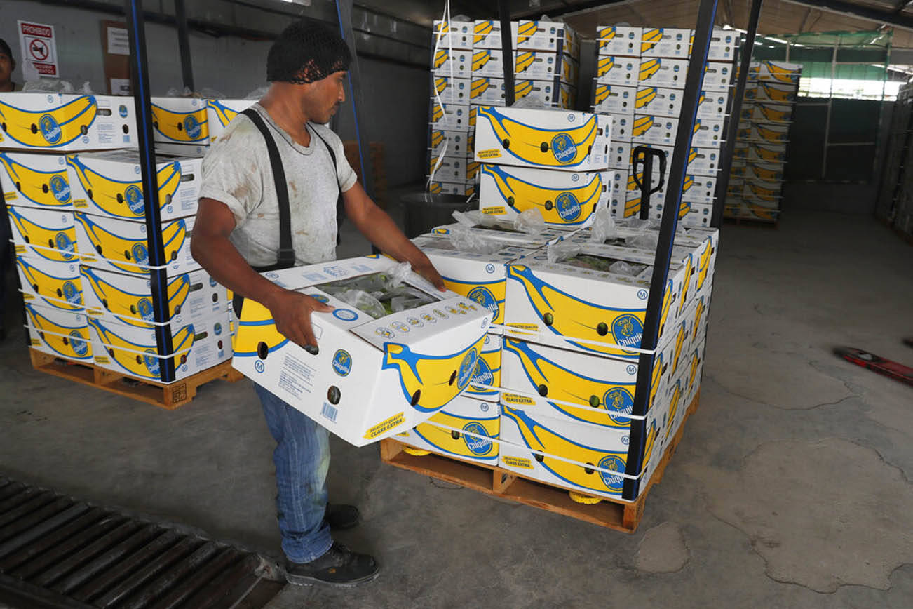 (AP Foto/Marco Ugarte)