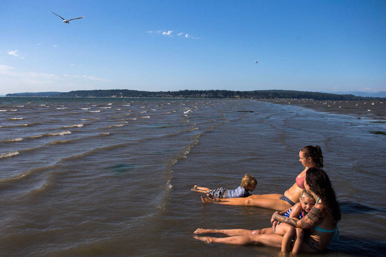 Jetty Island podría ser el lugar más hermoso de Everett