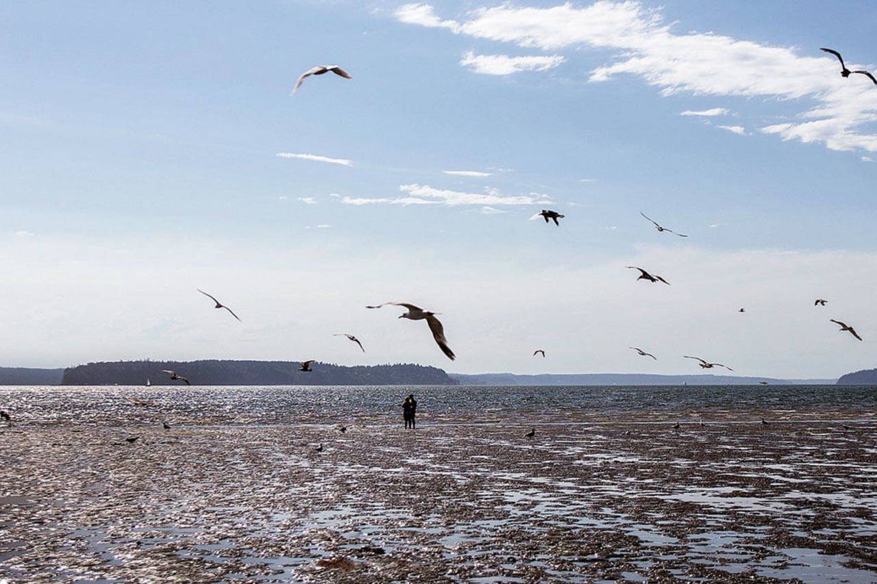 Condado de Snohomish es un destino de vacaciones - para los residentes de Seattle