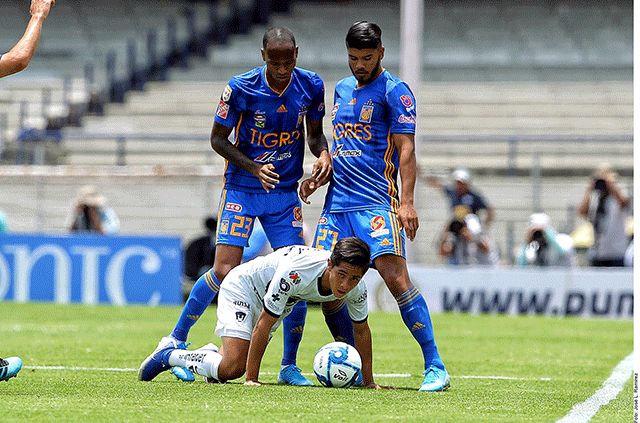 Esperan Tigres al mejor Necaxa