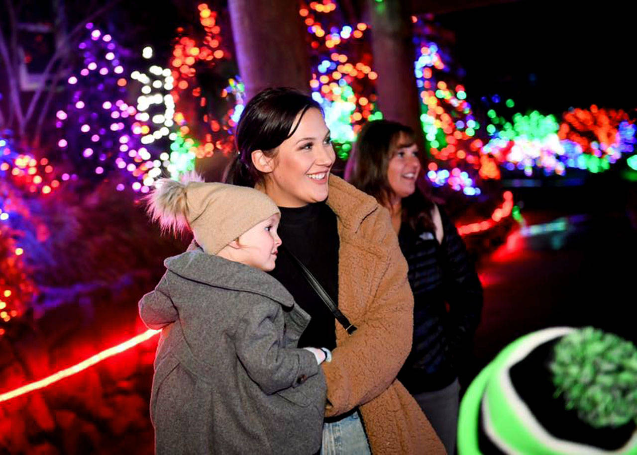 10 cosas que no te puedes perder en el show de luces de Point Defiance Zoo