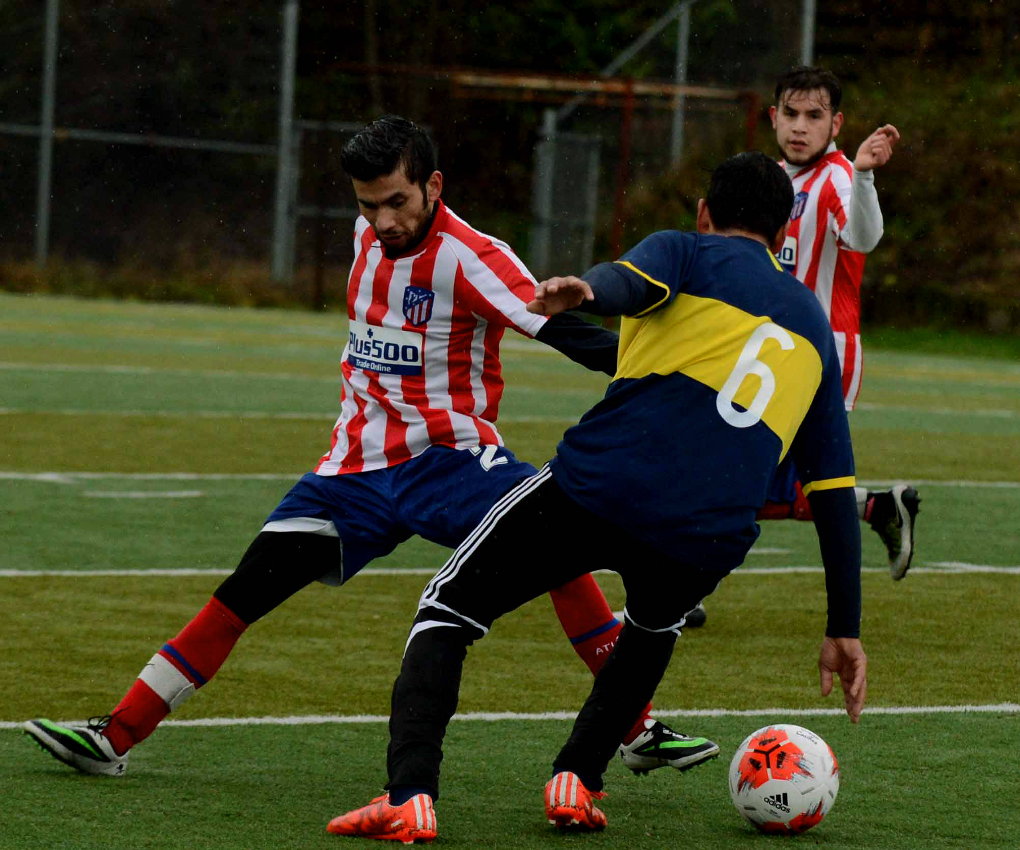 Liga Olympica de Everett