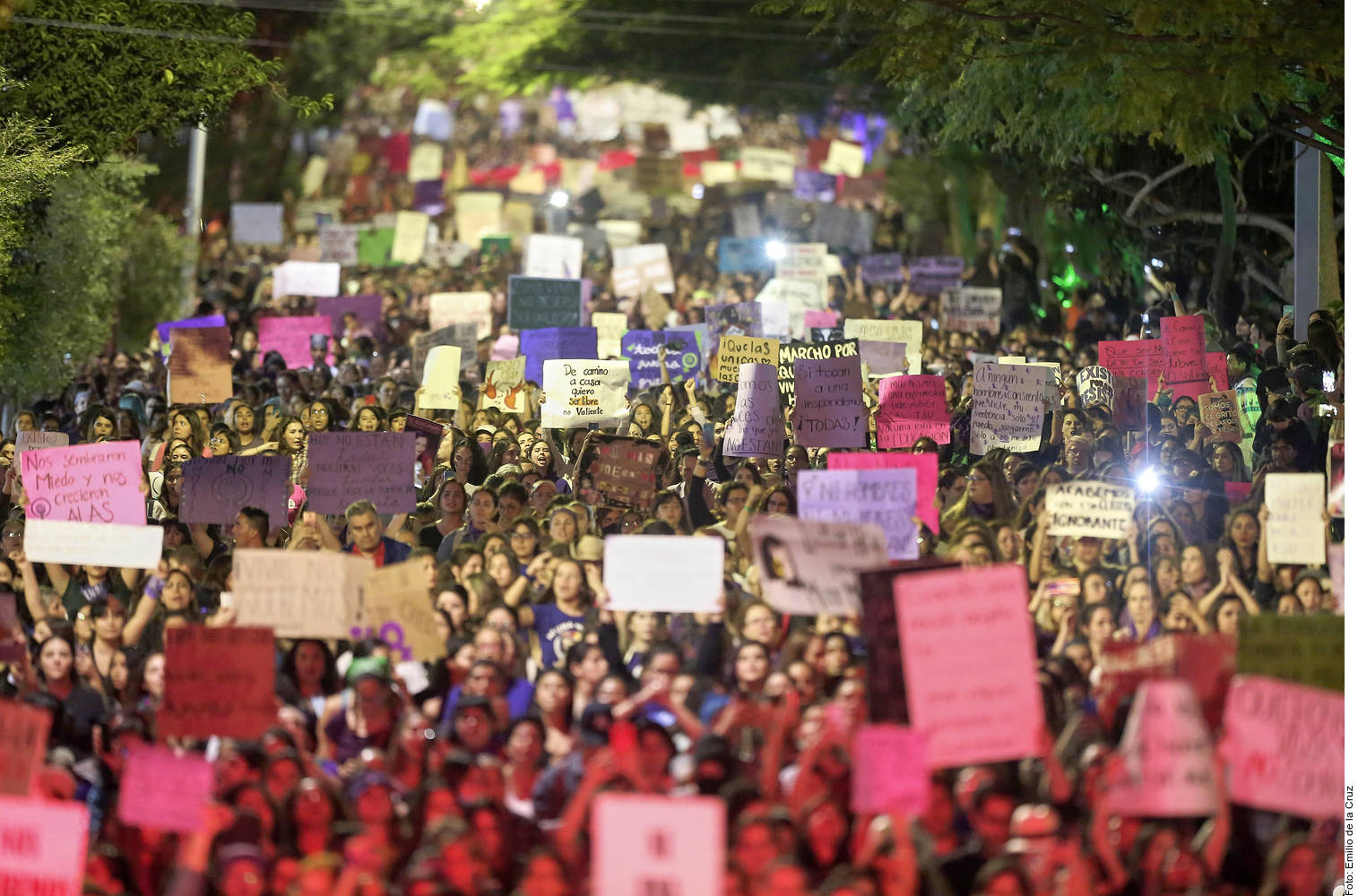 Unen voces en todo el país