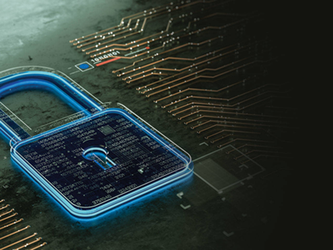 ¡Su información está segura!