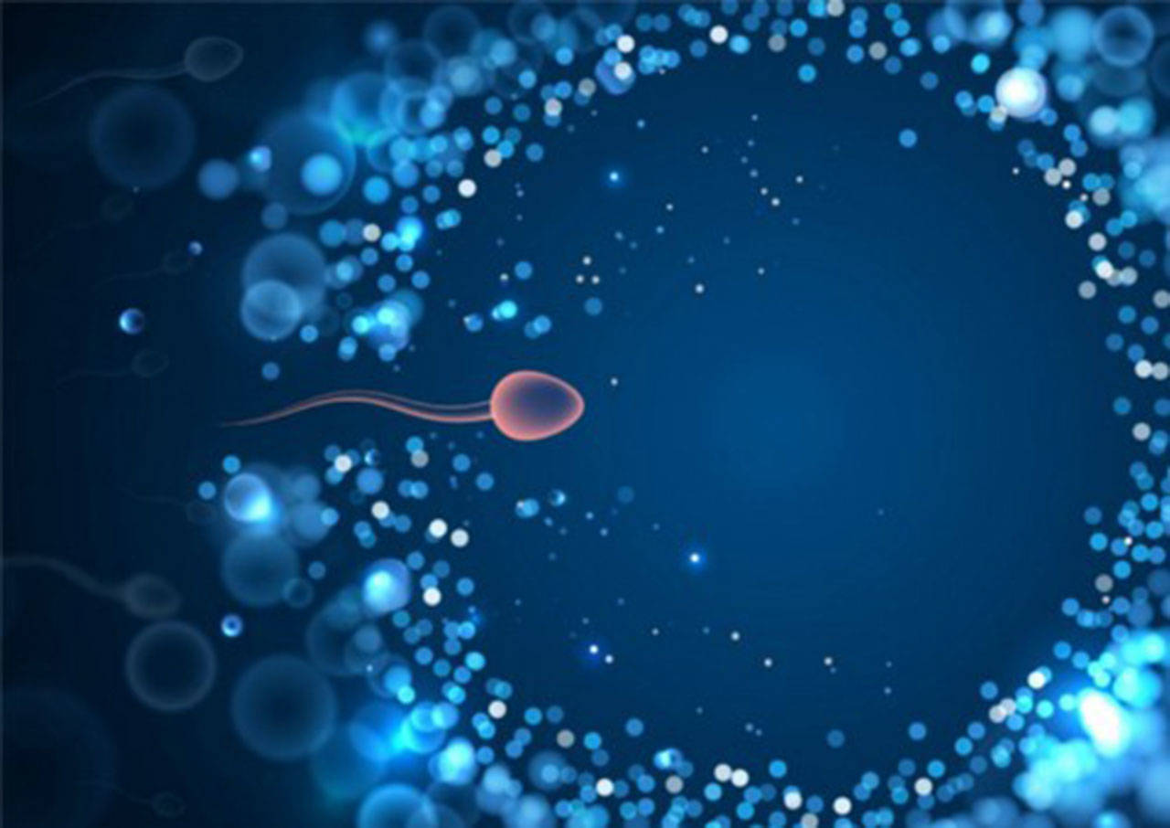 Fertility image